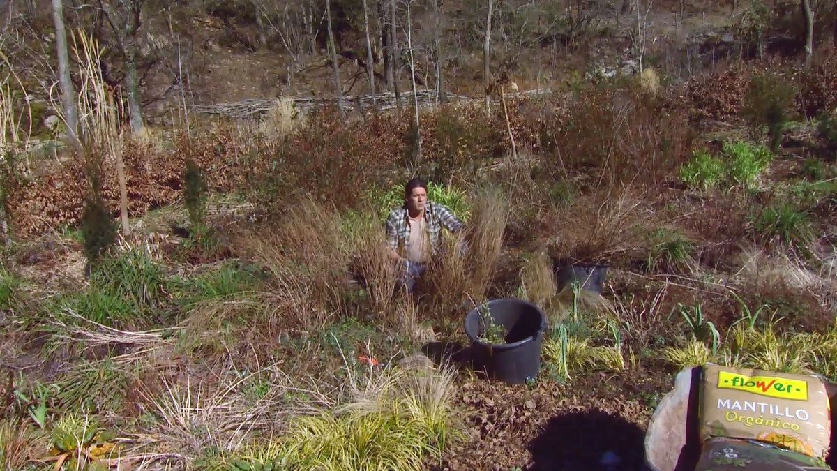 deco646 poda parterre vivaces mantillo antes