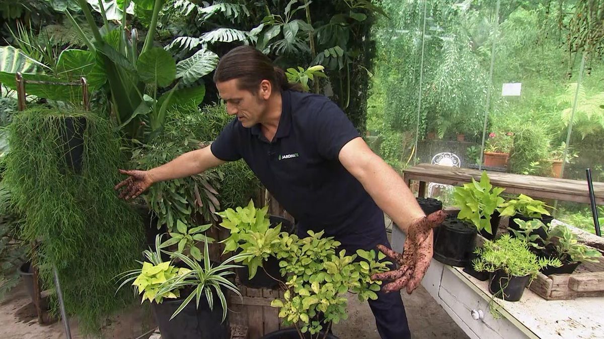 deco782 composicion con cintas