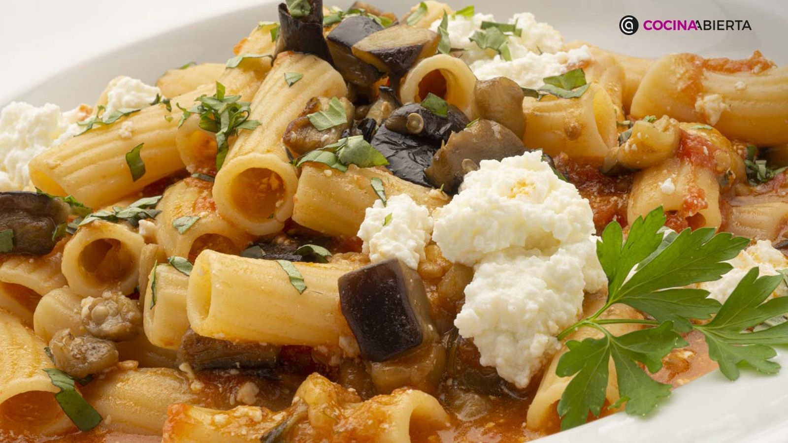 KARL7016 pasta norma xl