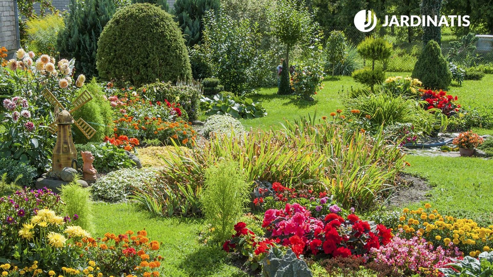 10 plantas para poner al sol