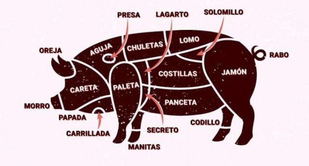 secreto iberico horno patatas partes