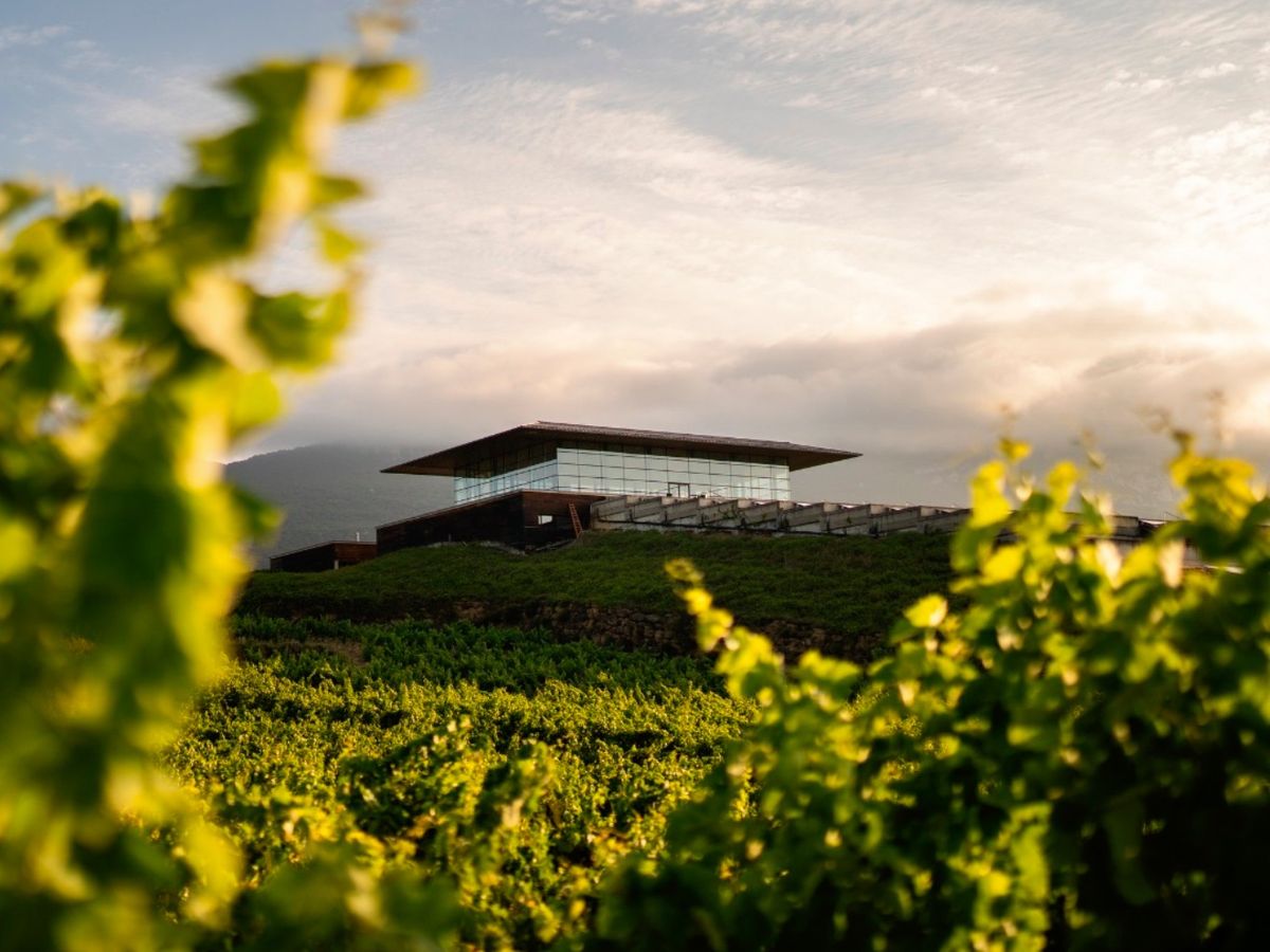 La bodega Baigorri es una gran estructura de cristal