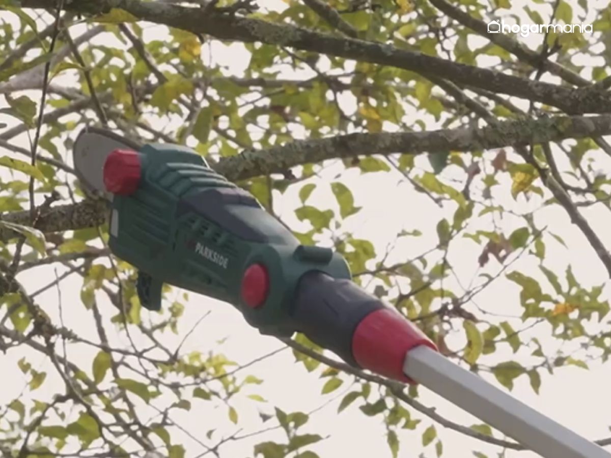 La podadora de altura permite eliminar con precisión las ramas que sobresalen o entorpecen el paso.