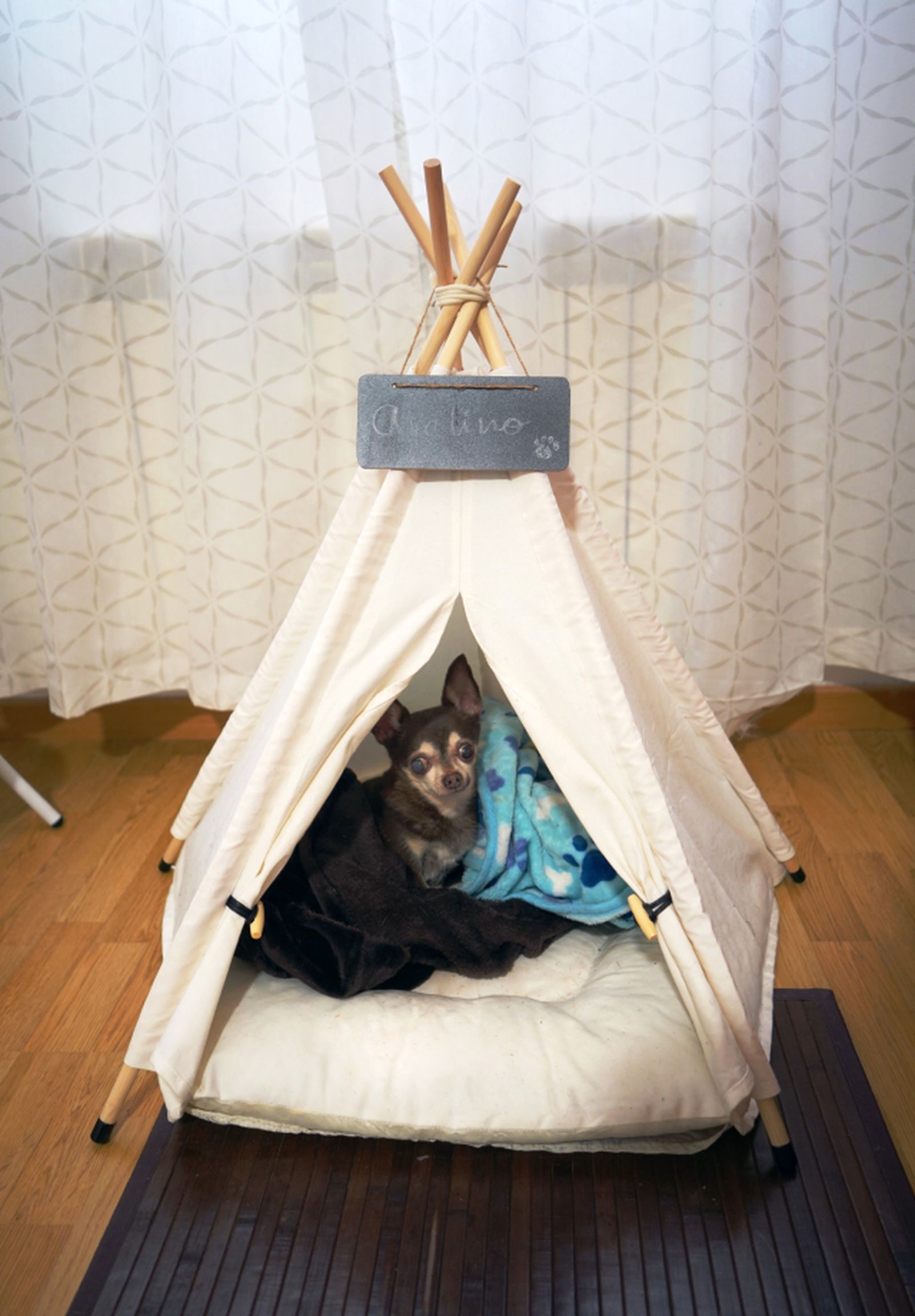 tipi avelino tipi avelino