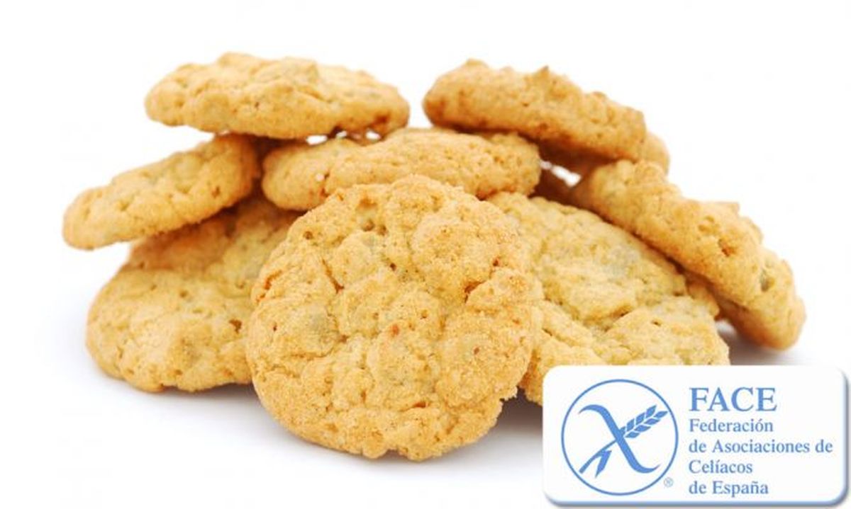galletas celiacos xl 668x400x80xX