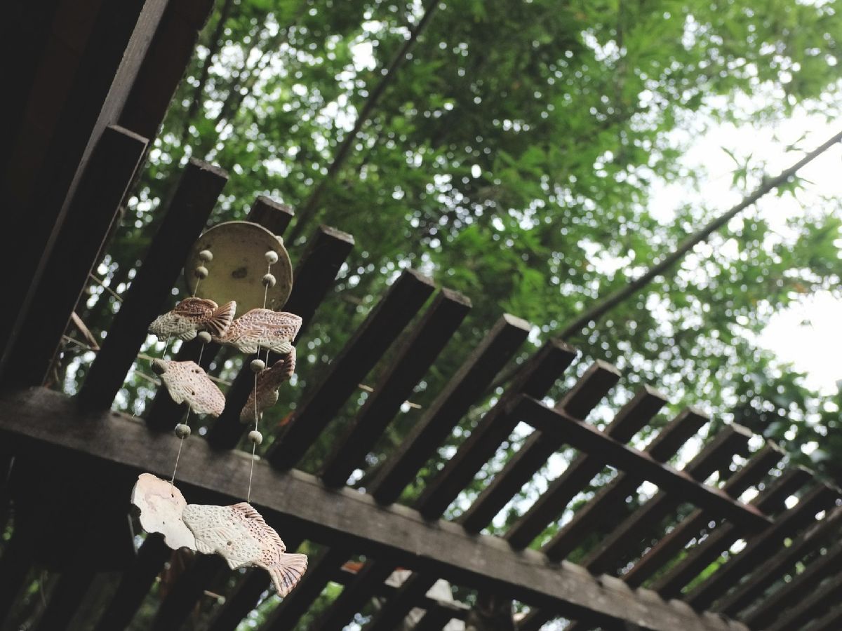 Utiliza complementos para dar un toque personal a tu jardín