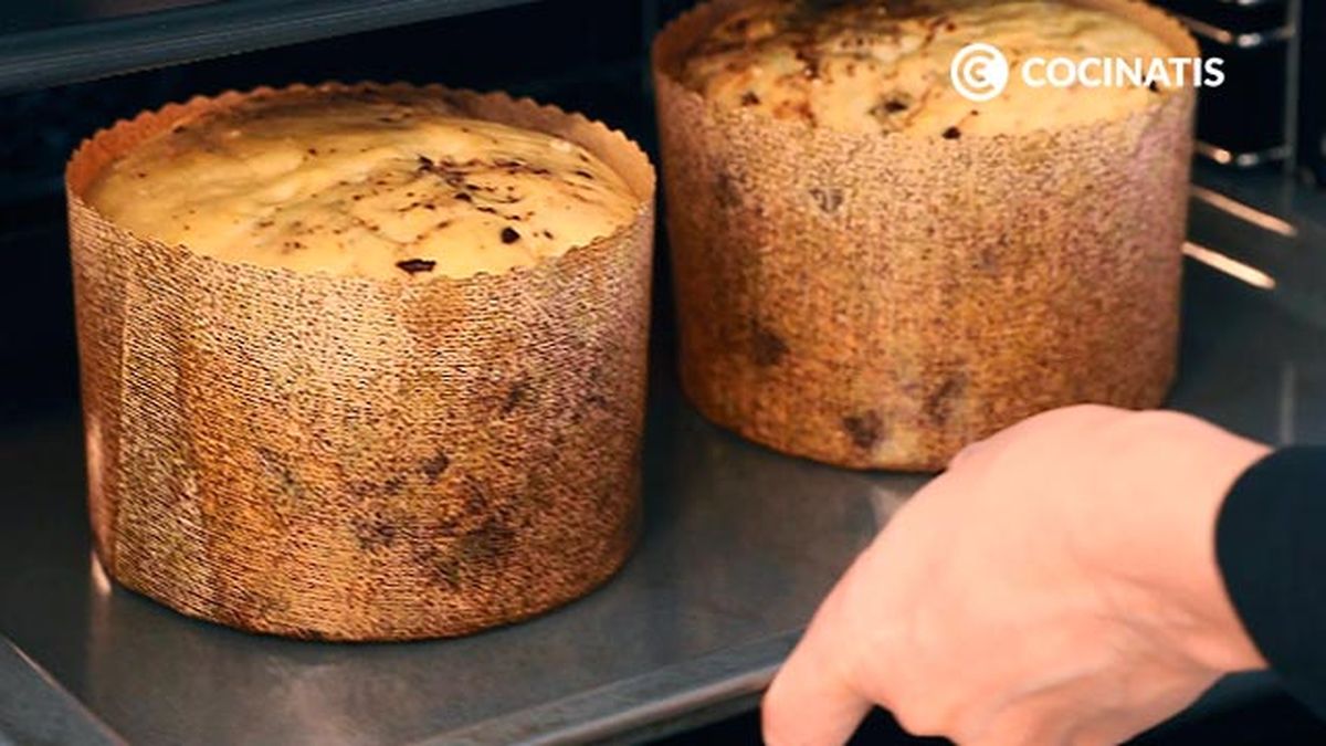Receta de panettone de chocolate, postre italiano de Navidad  paso 5