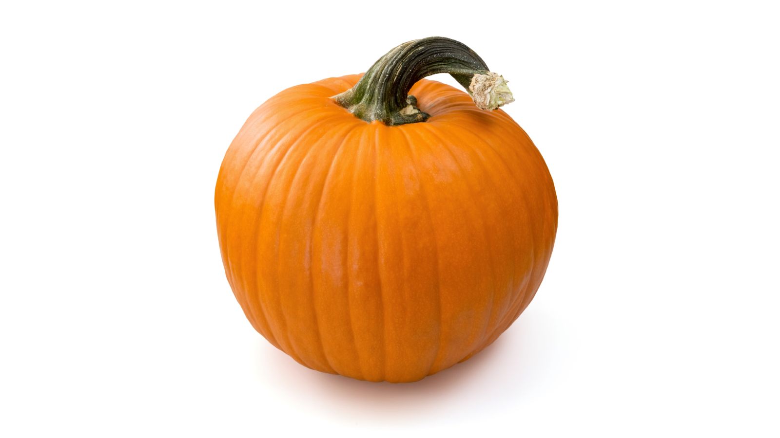 A la variedad de calabaza clásica de Halloween se le llama "pepo"