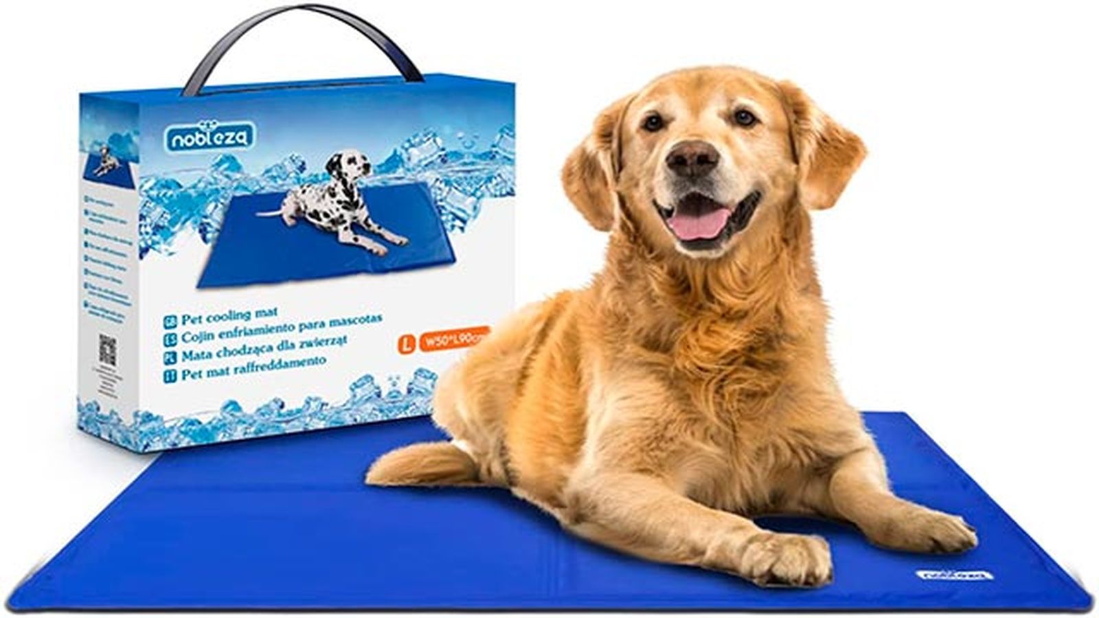 amazon amazon
