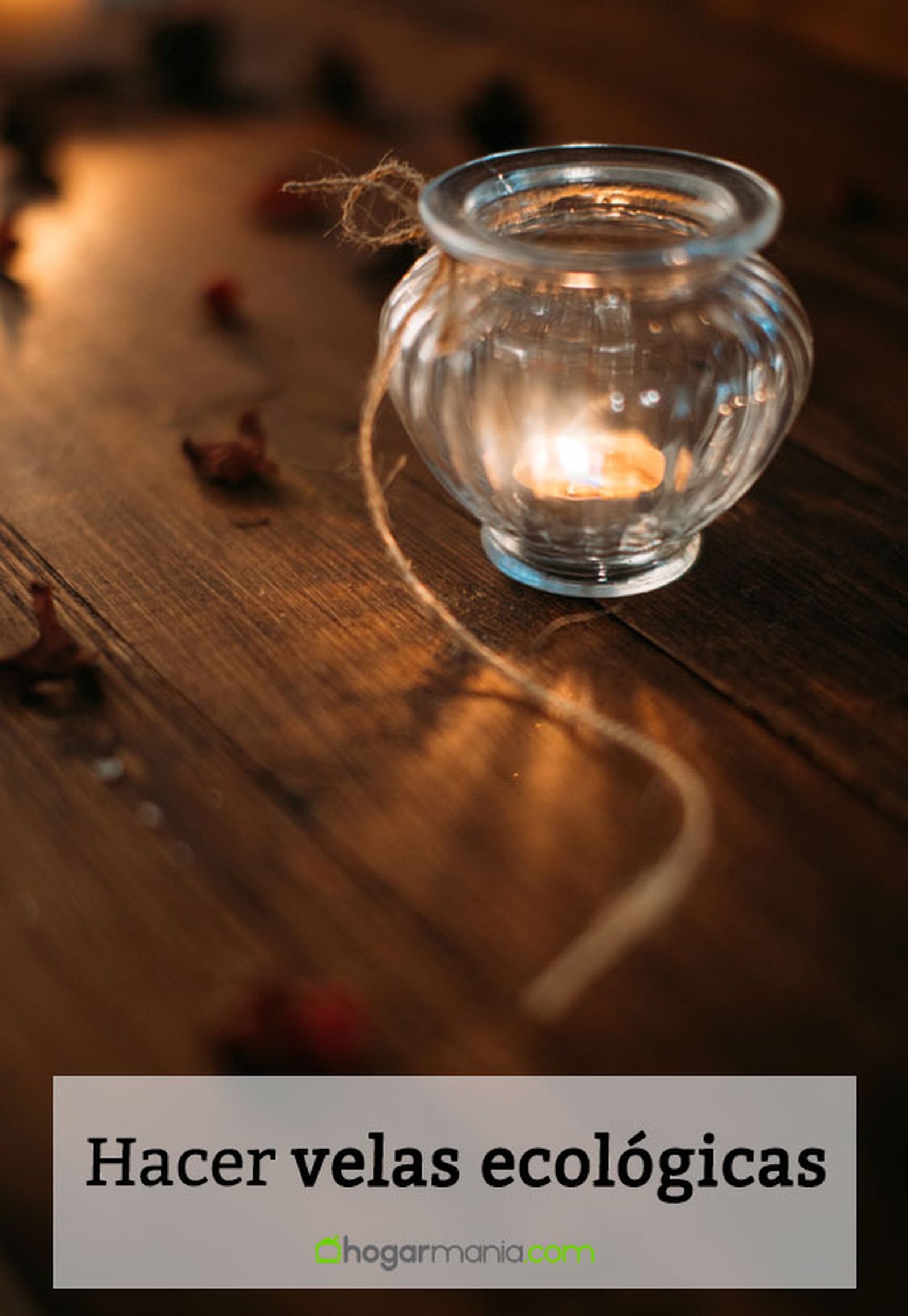 velas ecologicas vertical velas ecologicas vertical