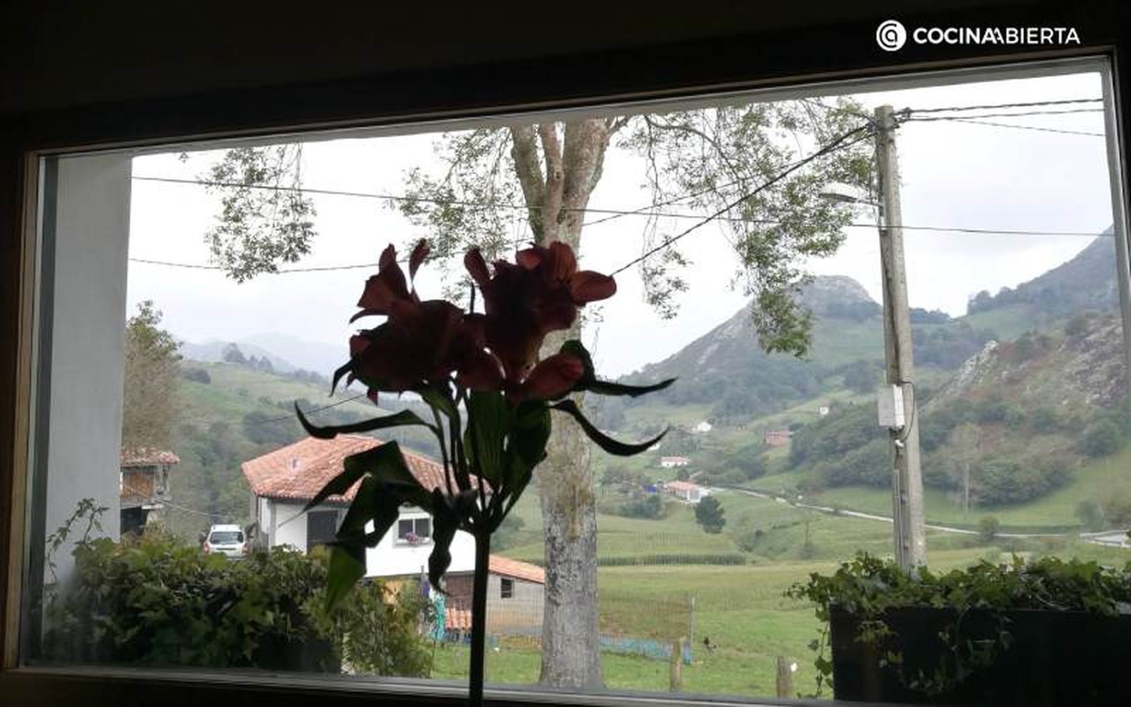 El verde paisaje asturiano desde una de las mesas de Casa Marcial El verde paisaje asturiano desde una de las mesas de Casa Marcial