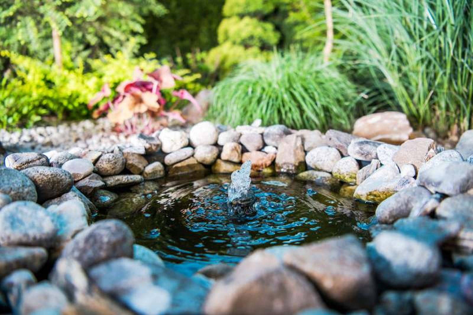 El agua en el jardín cobrará una importancia especial. El agua en el jardín cobrará una importancia especial.