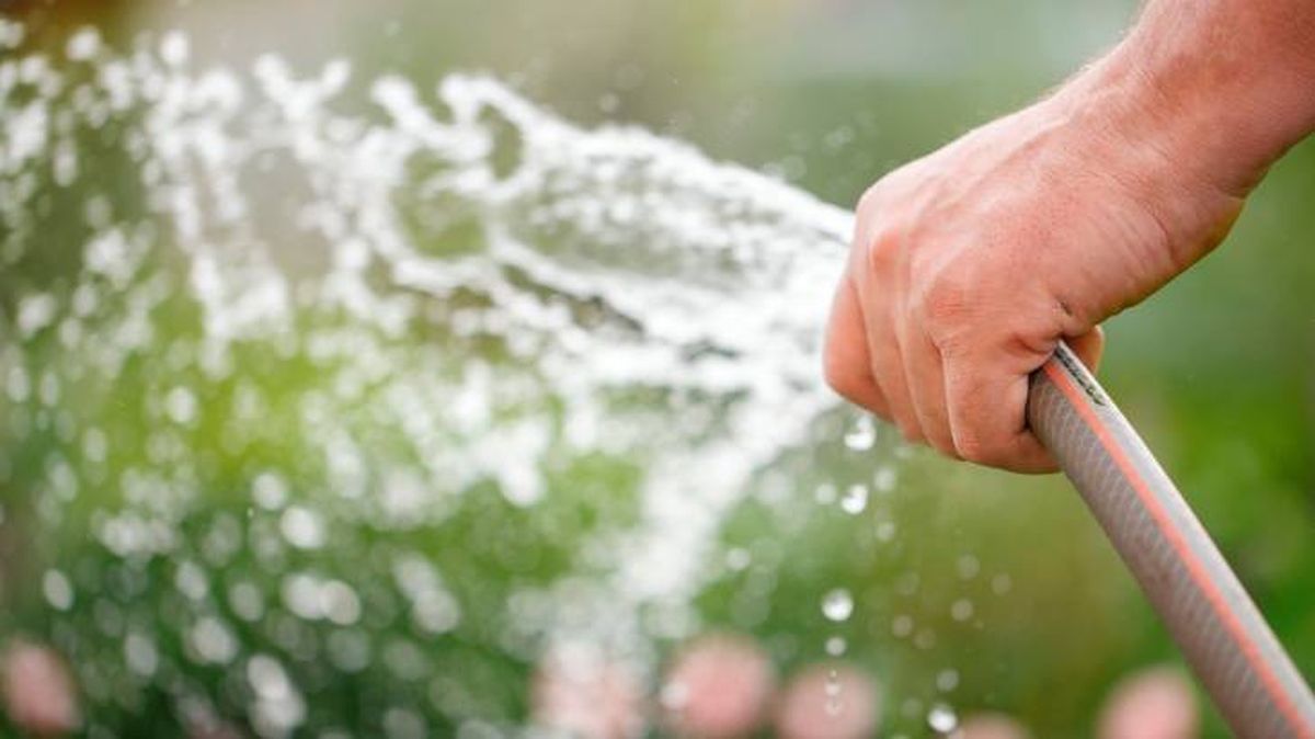 limpiar cesped artificial 2