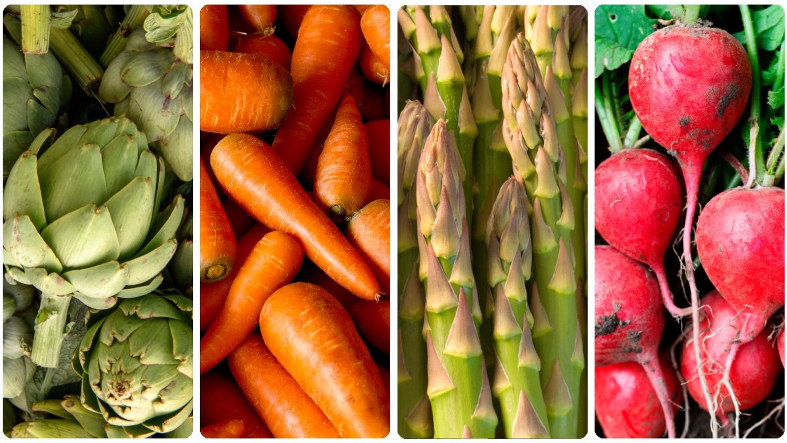 Verduras de primavera