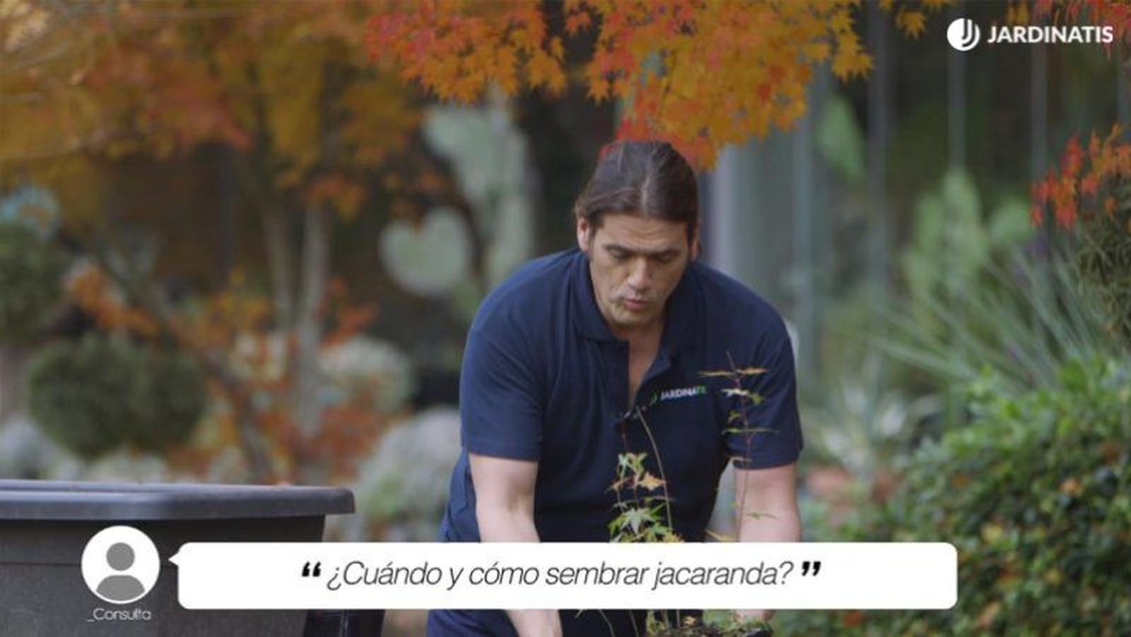 La mejor época para sembraras suele ser la primavera La mejor época para sembraras suele ser la primavera