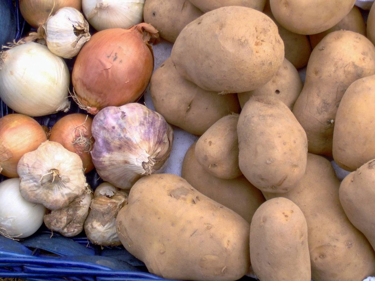 Guardar ajos junto a patatas favorece la humedad y la brotación, acortando su vida útil.