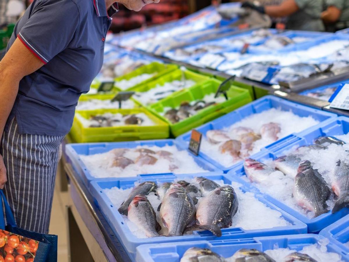 Elige pescado fresco y congélalo para evitar el anisakis