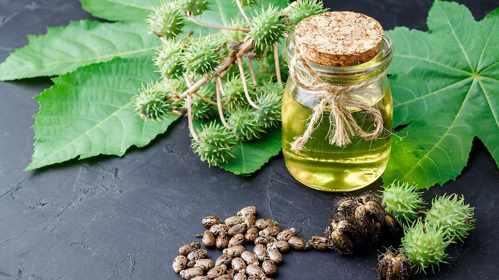 beneficios propiedades del aceite de ricino cuerpo salud piel cabello