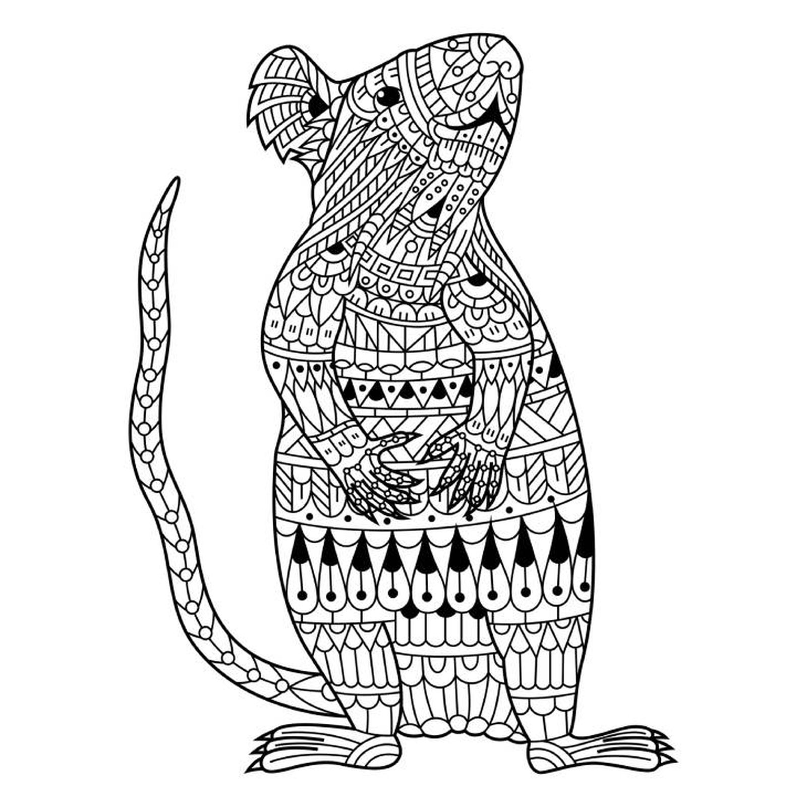 rata mandala rata mandala