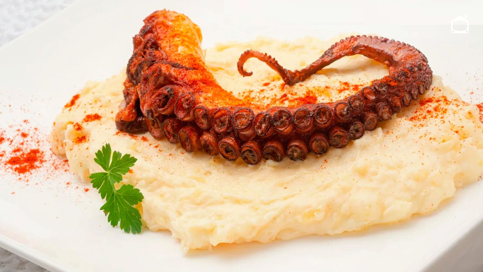 Pulpo a la plancha con parmentier de patata