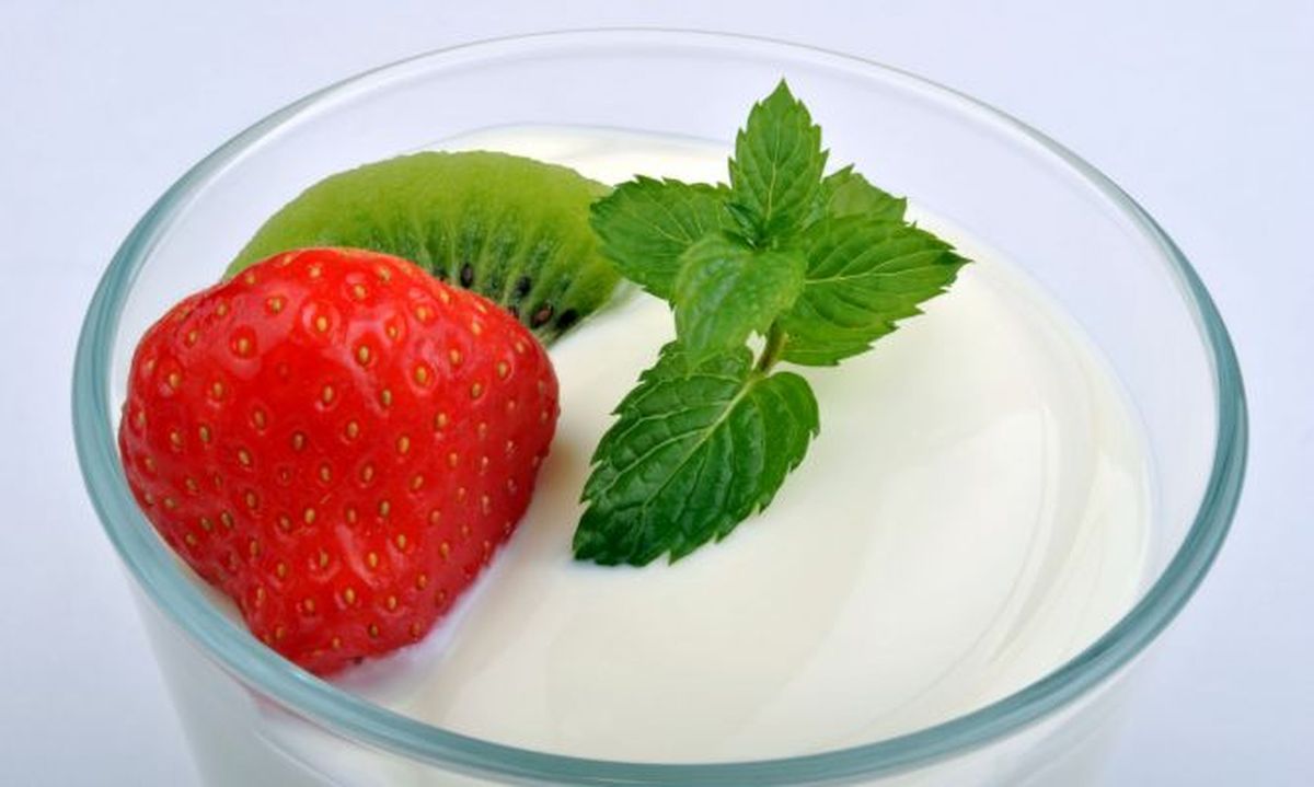 yogur natural 668x400x80xX