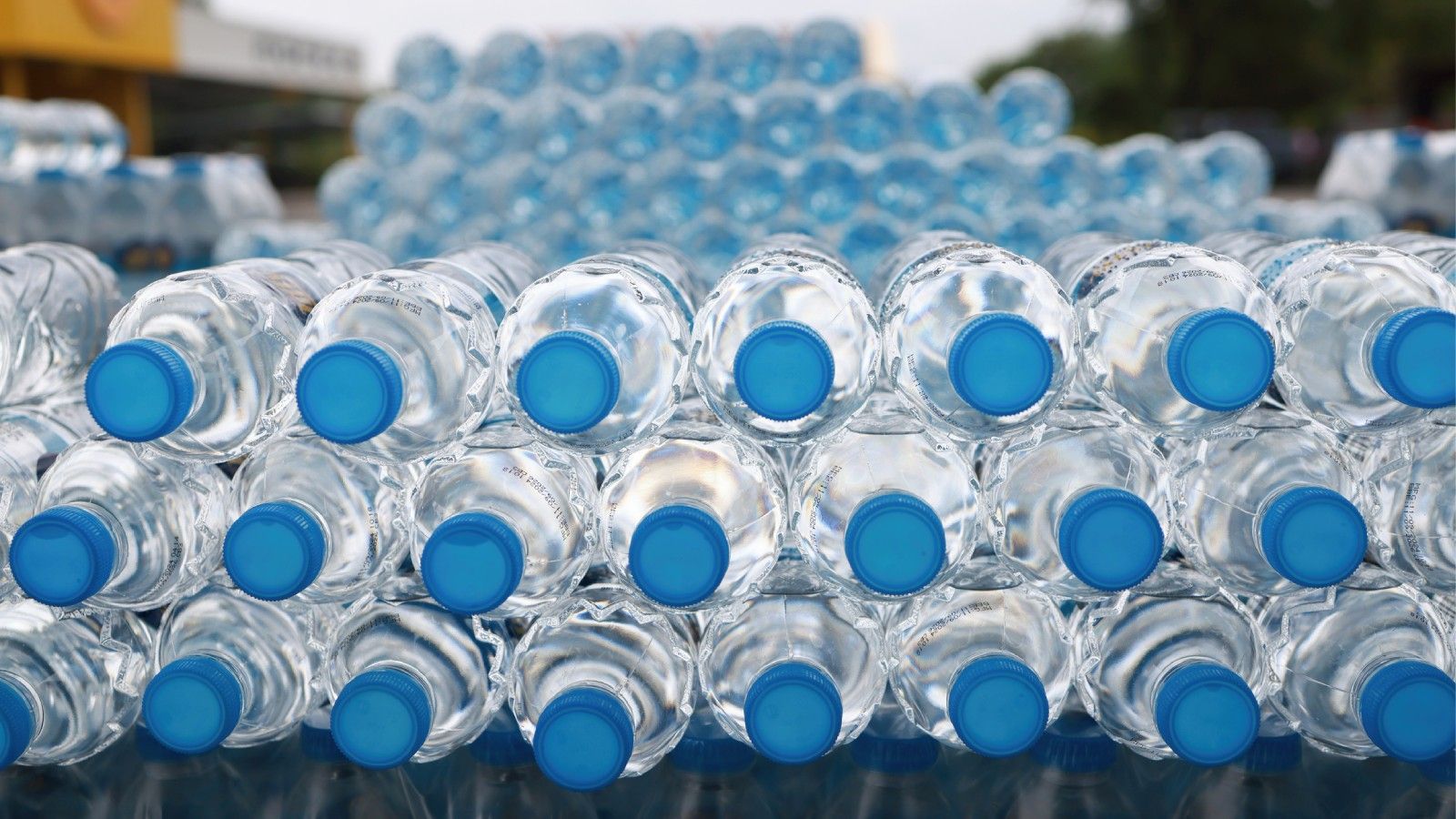Cuidado con el tipo de plástico de las botellas que reutilizamos Cuidado con el tipo de plástico de las botellas que reutilizamos