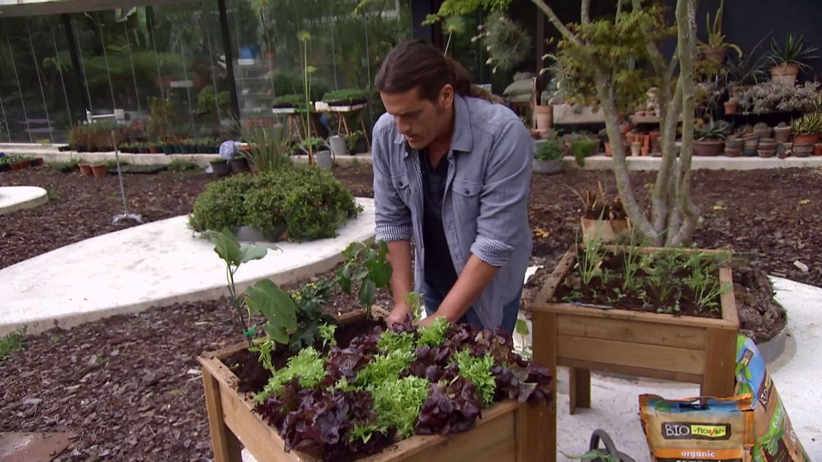 deco 0655 jardineria huerto urbano ecologico mesas plantacion lechugas