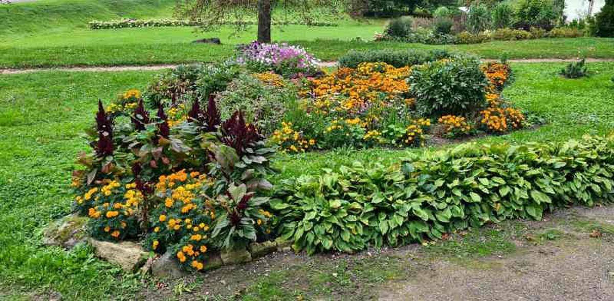 Los beneficios de un jardín de agua son muy variados.