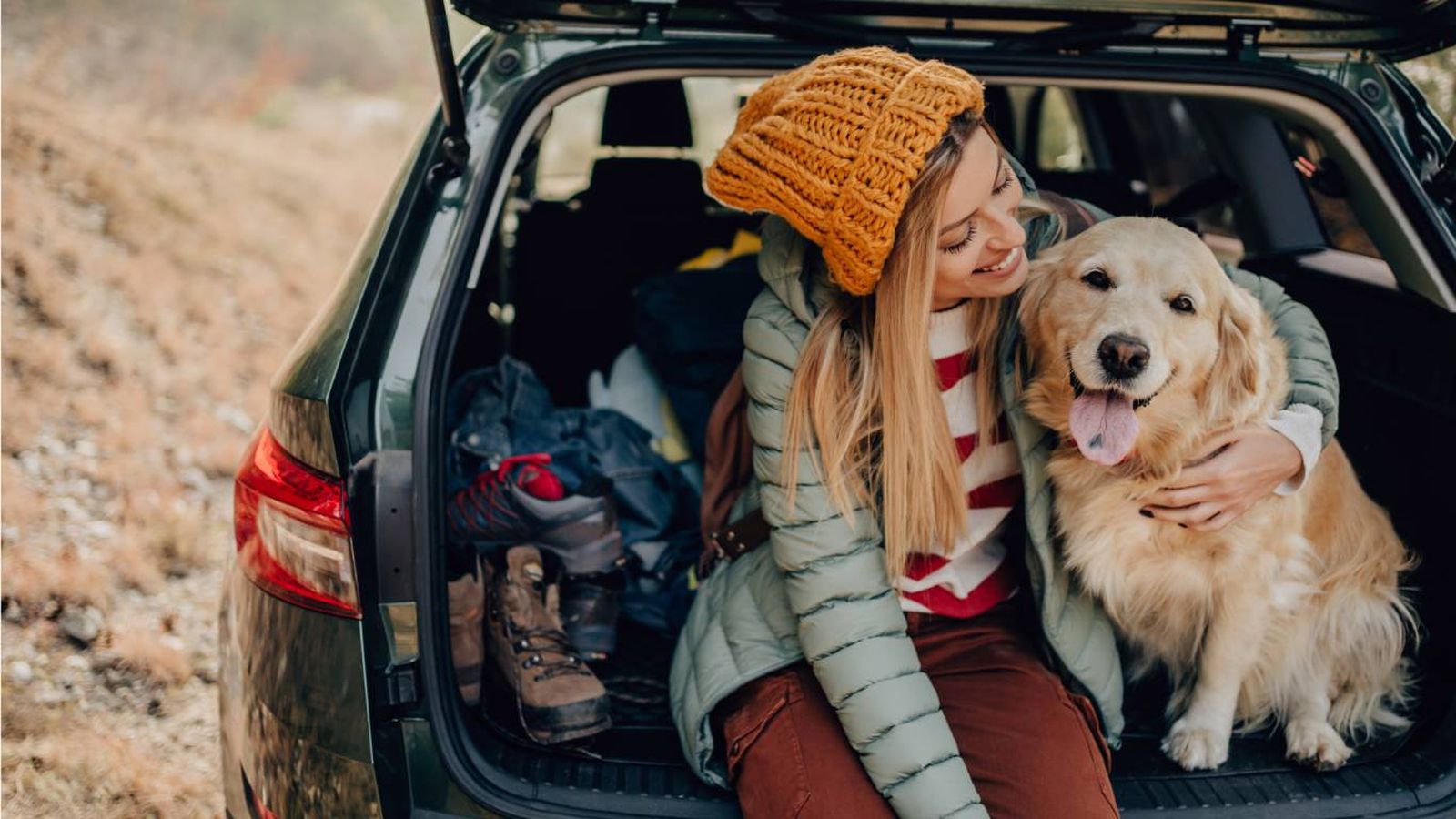 Accesorios para viajar en coche con tu mascota