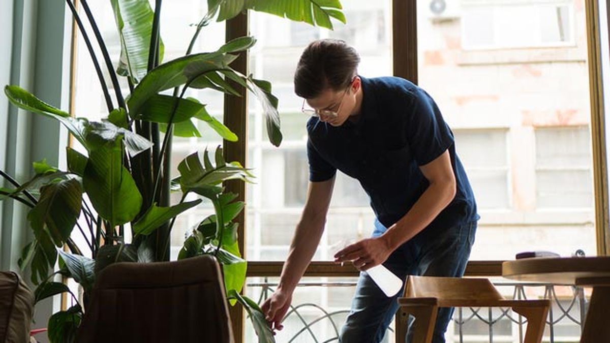 como ser minimalista y consumir menos beneficios claridad mental