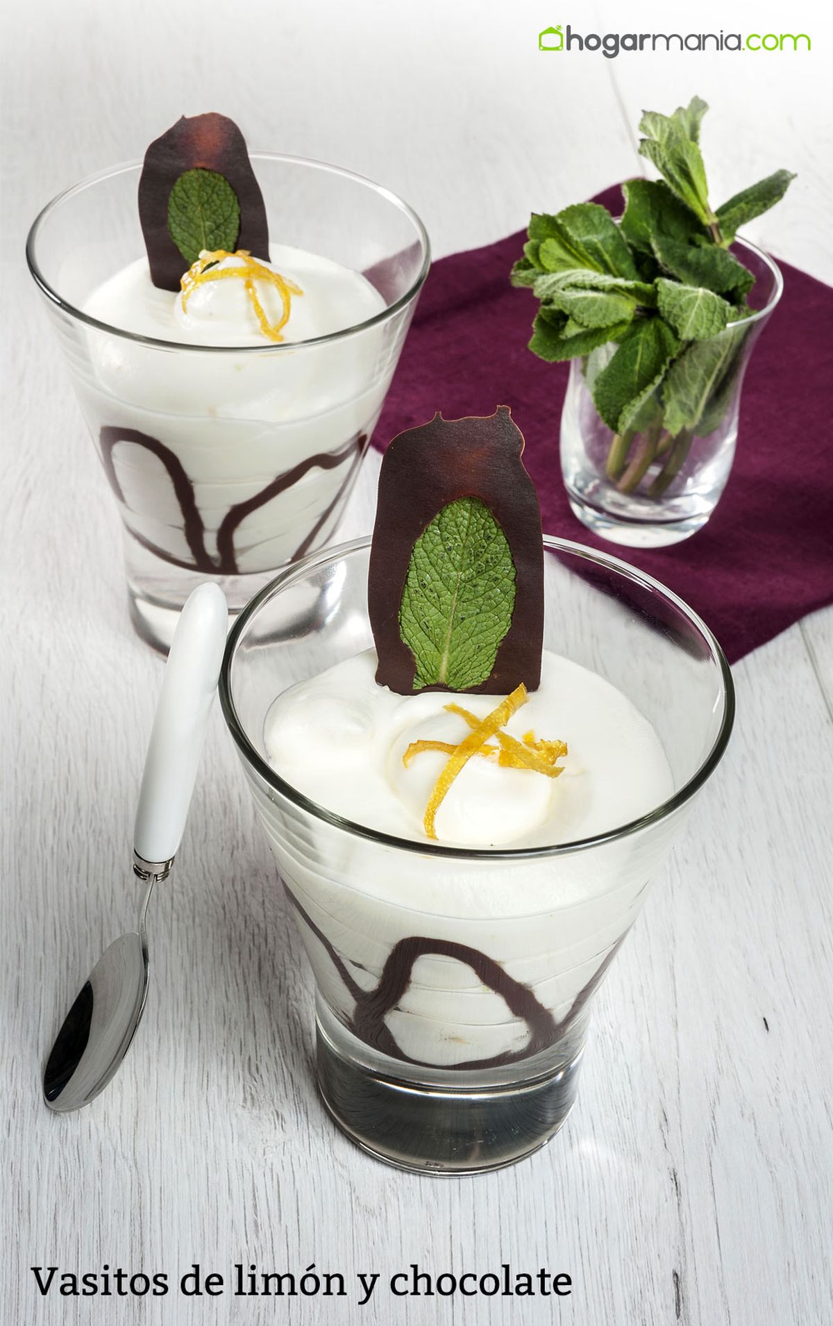 CABI0018 Joseba Vasitos de limon y chocolate vertical xl