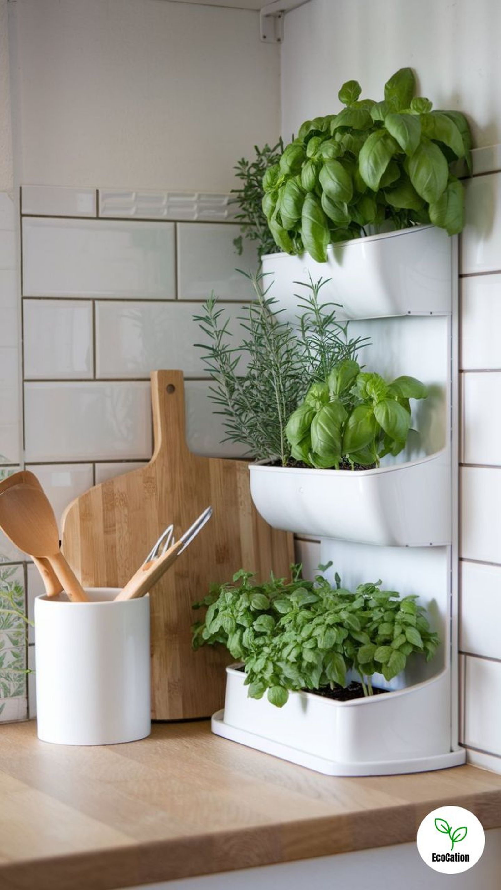 Jardín vertical de aromáticas en la cocina.