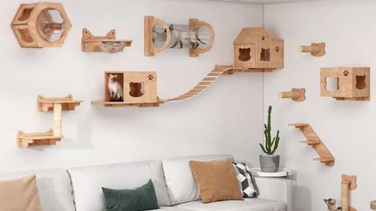 gimnasio para gatos de amazon