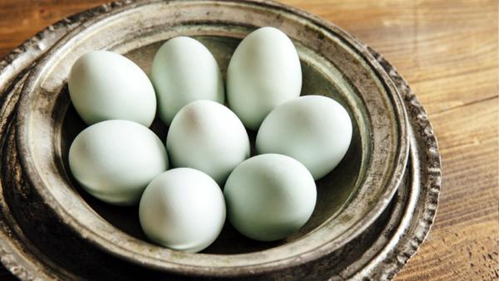 huevos azules gallina huevos azules gallina