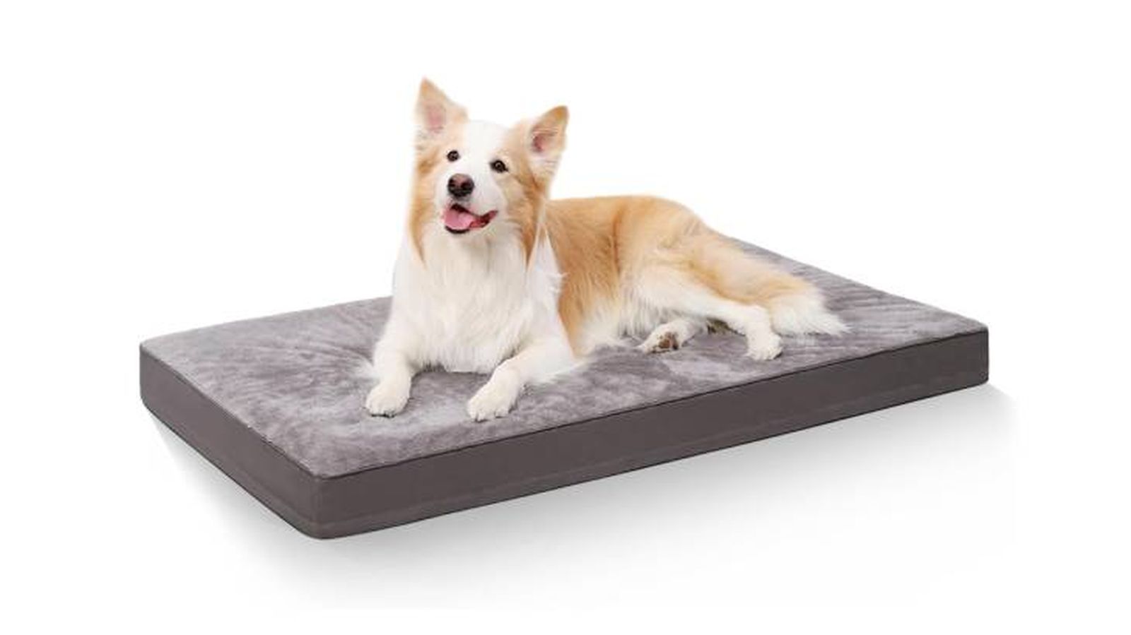 accesorios perros mayores cama amazon accesorios perros mayores cama amazon