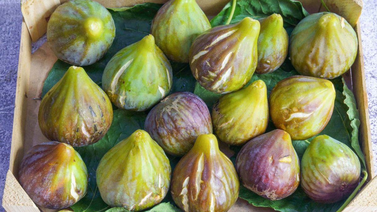Higos con grietas