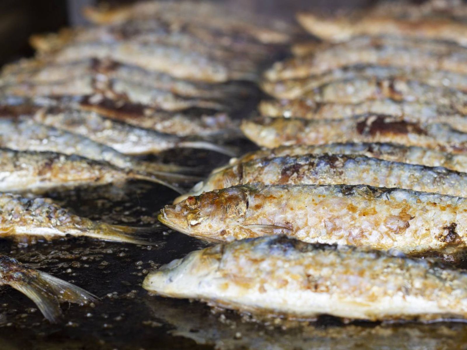 Sardinas a la plancha una opción sabrosa y sencilla para celebrar San Juan. Sardinas a la plancha una opción sabrosa y sencilla para celebrar San Juan.