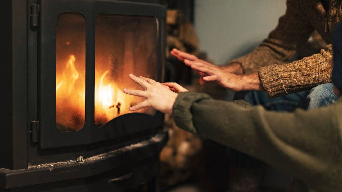 chimenea electrica 4