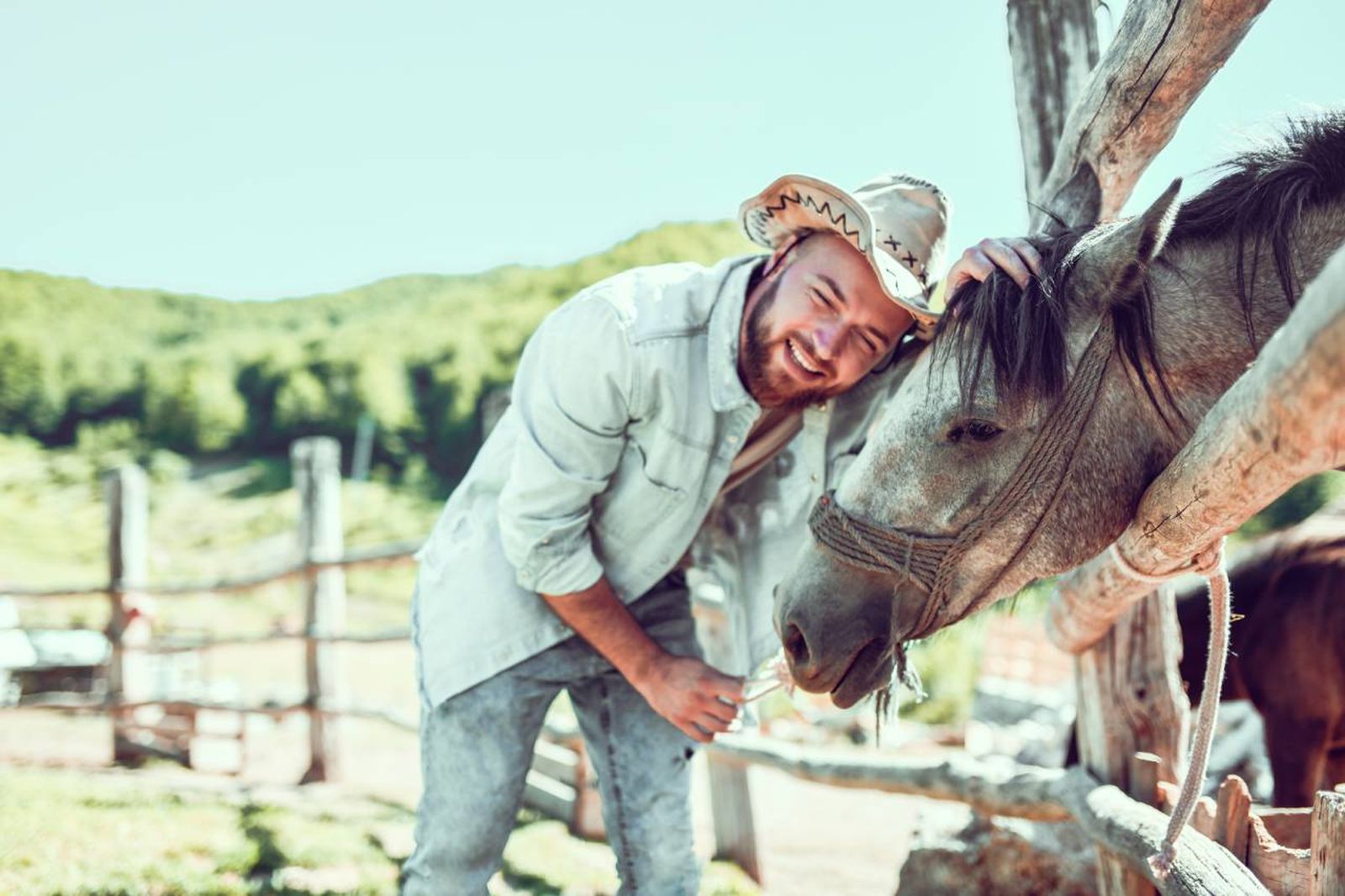 Los susurradores de caballos son expertos en el comportamiento equino.