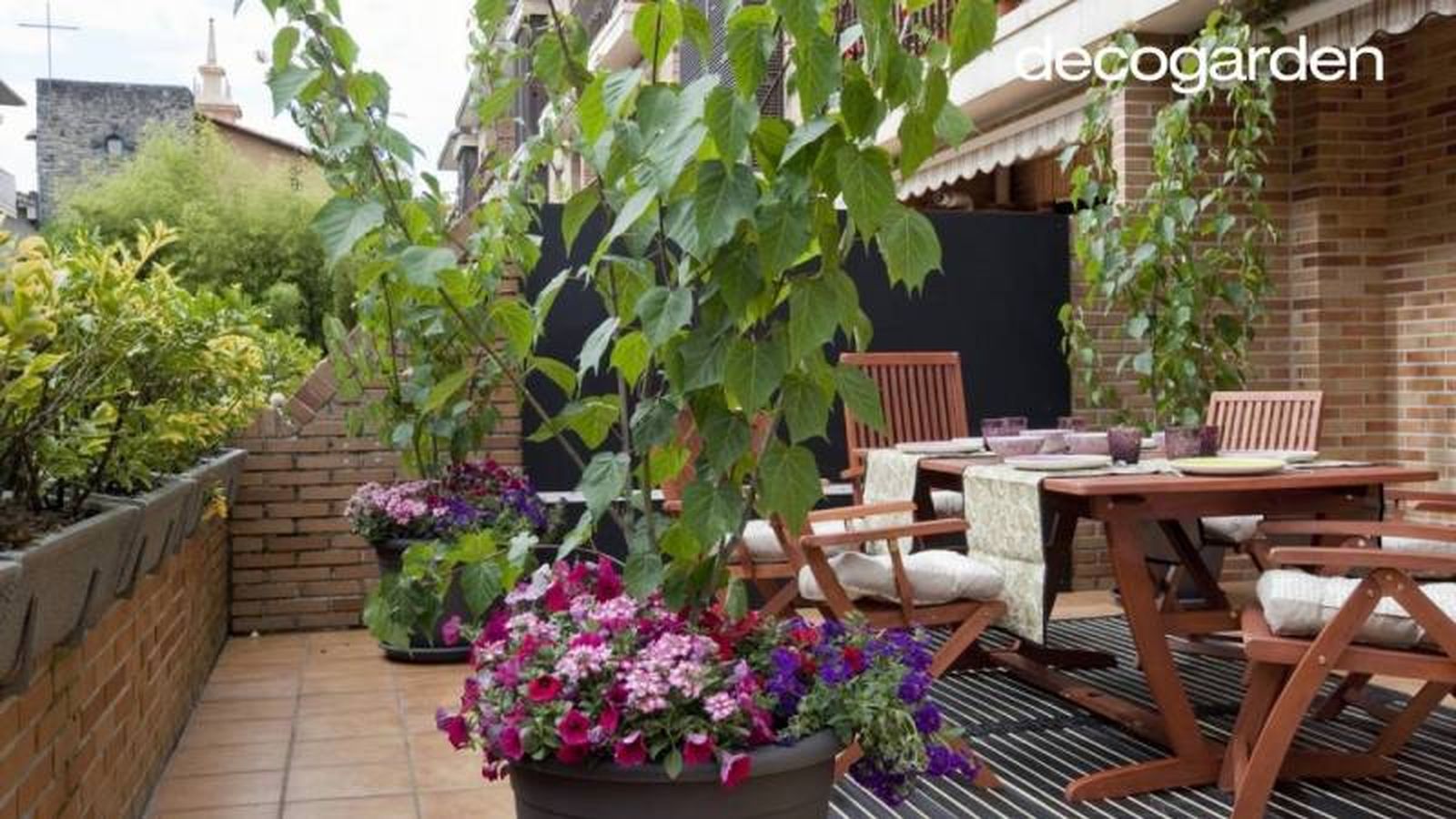 Terraza llena de color con plantas y flores. Terraza llena de color con plantas y flores.