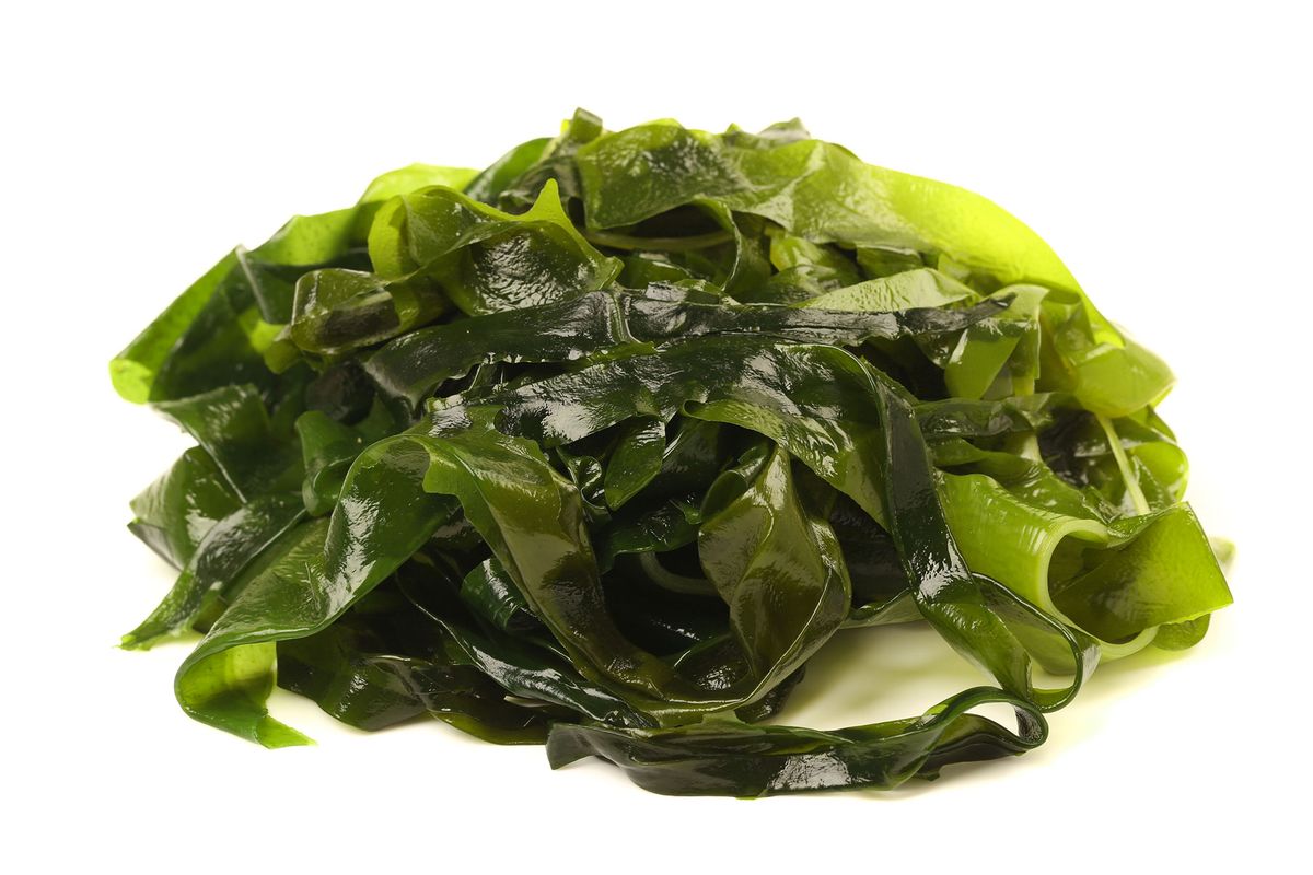 alga kombu fresca xl