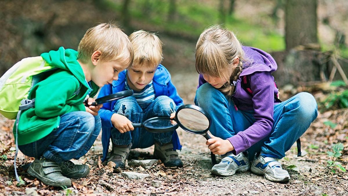 gymkana naturaleza 1