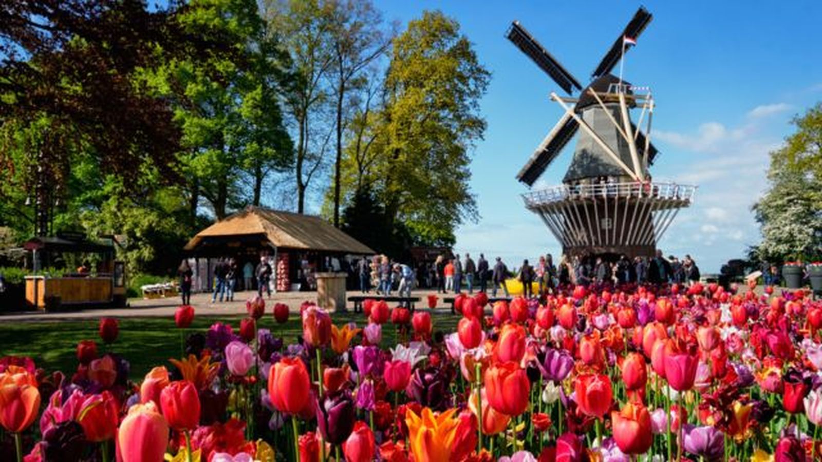 Jardín de Keukenhof. Jardín de Keukenhof.