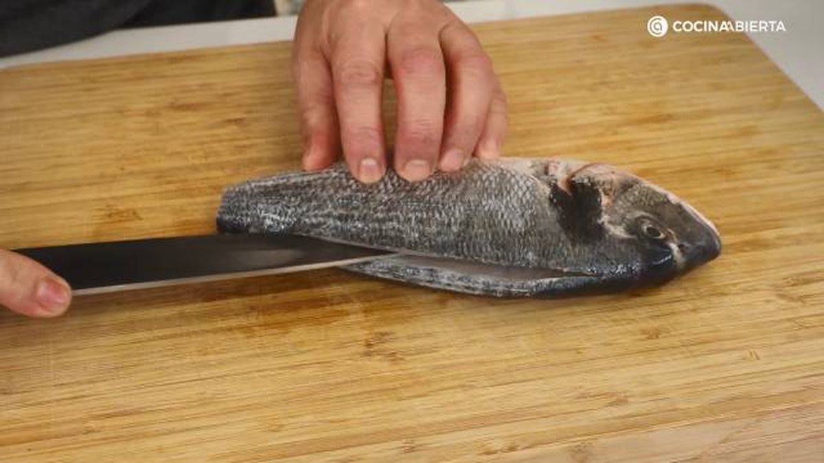 JATA Dorada plancha paso corte 1