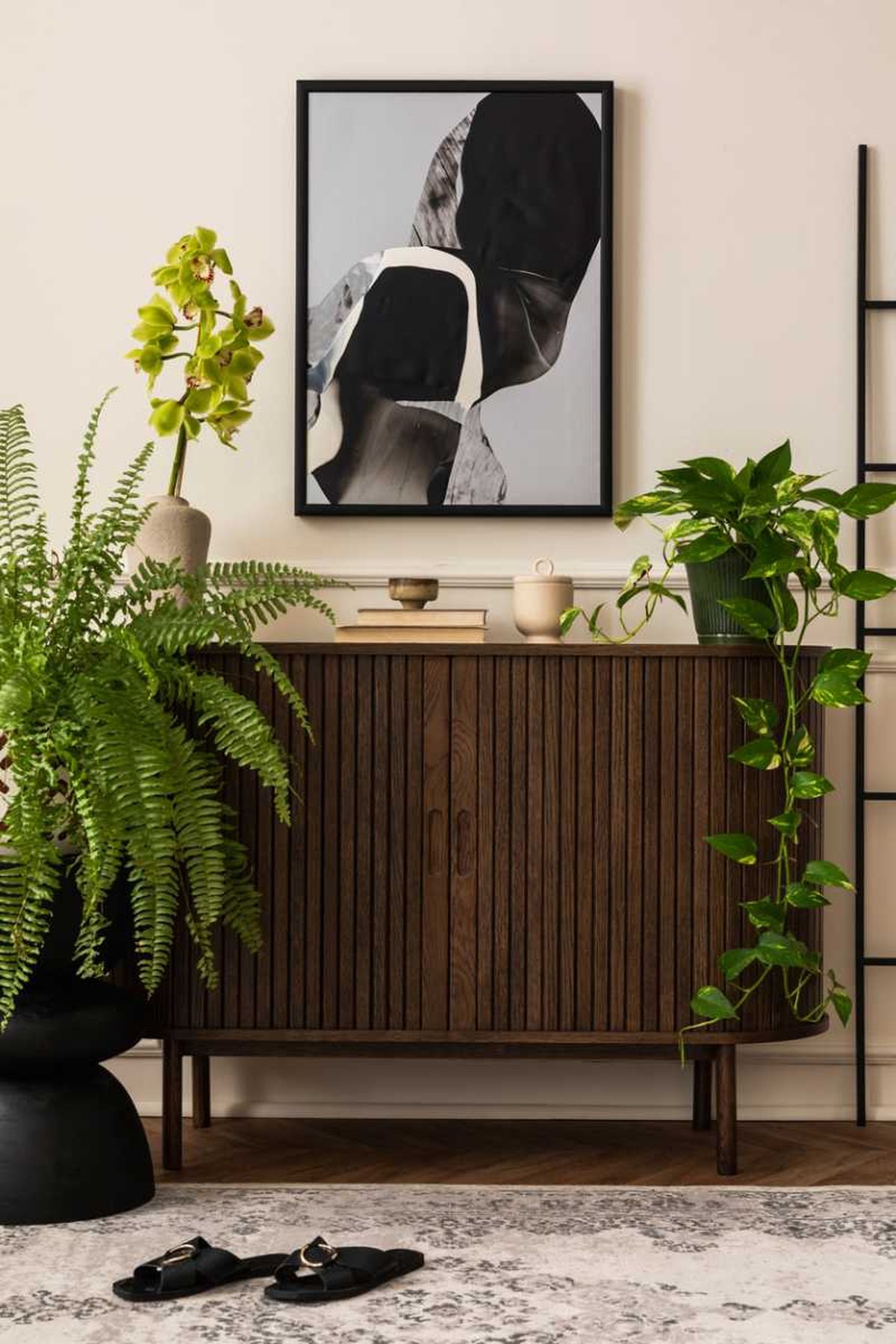 La variedad de plantas de interior es enorme