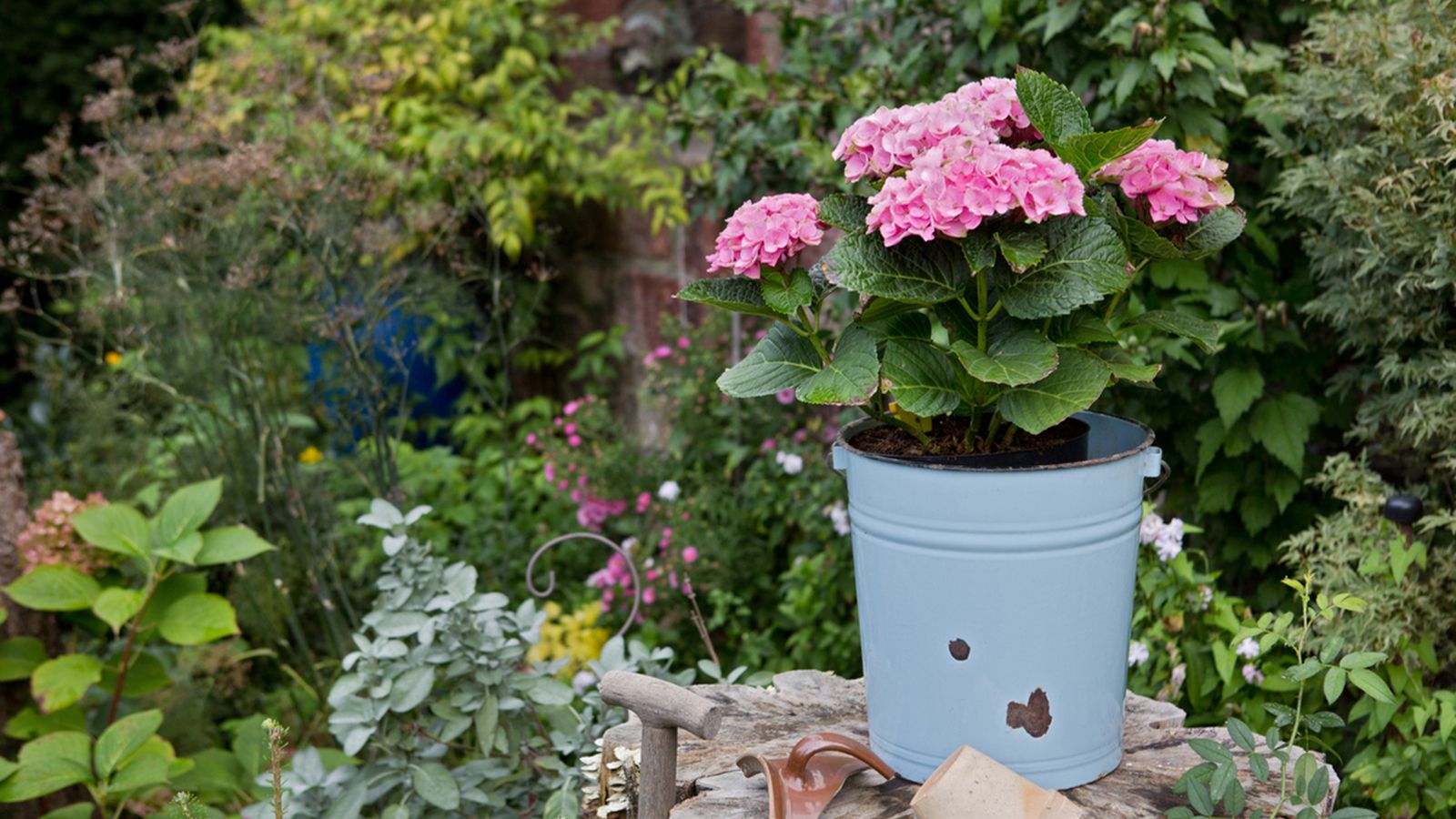 tareas jardineria febrero hemisferio sur xl