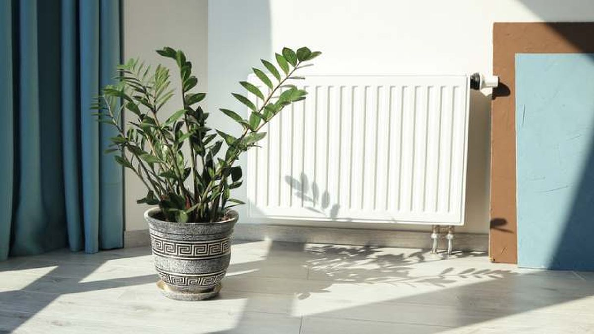 como afecta la calefaccion humedad plantas interior