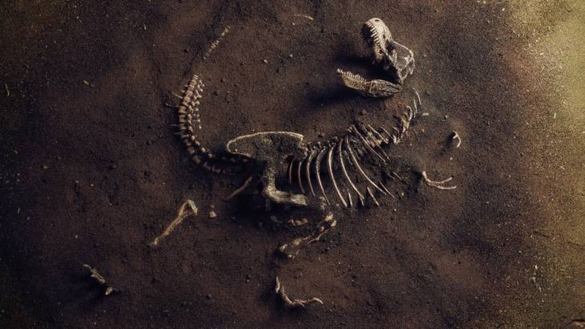 evolucion especies dinosaurios