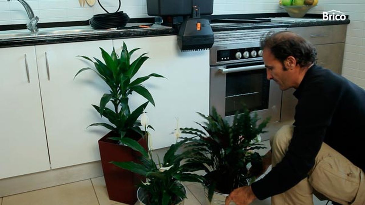 Kit de riego para macetas paso 7