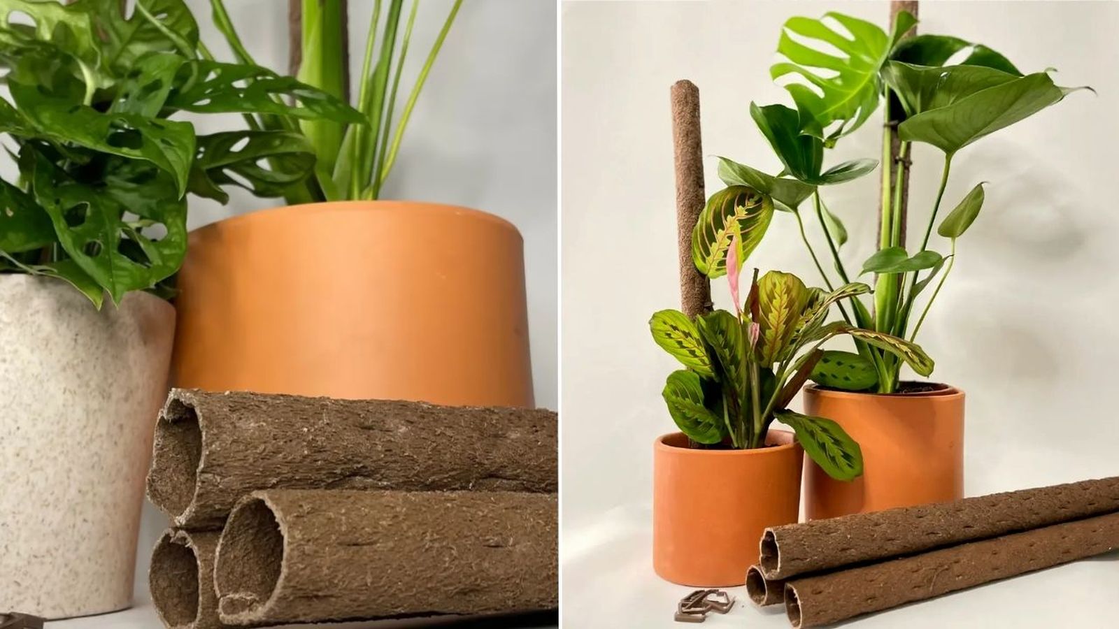 tutor para plantas de piel de patata pur plant